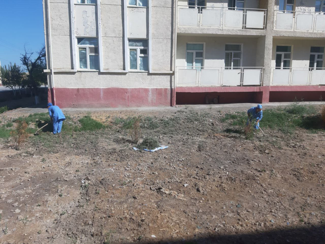 ,Умумхалк хайрия хашари