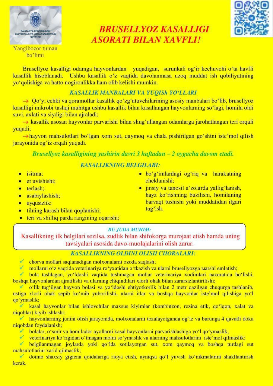 Brutsellyoz: Xavfli kasallikdan qanday saqlanish mumkin?