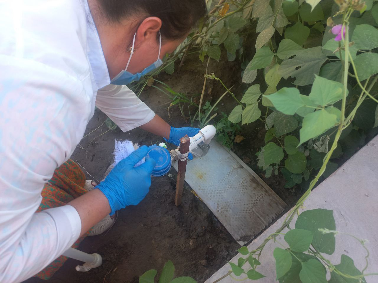 ЯНГИ МАХАЛЛАБОЙ ТИЗИМИ БУЙИЧА ПРОФИЛАКТИК ТАДБИРЛАР!